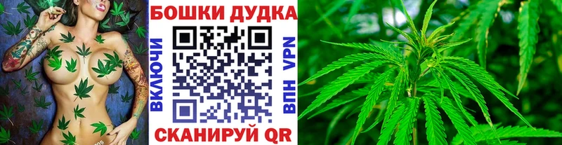 Купить наркотик Закаменск ГАШ  COCAIN  Псилоцибиновые грибы  Конопля  NBOMe  hydra зеркало  МЕФ 