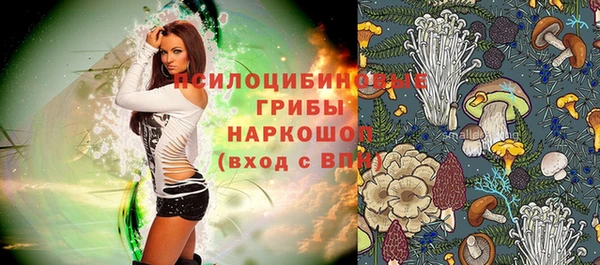 прущий лед Нефтегорск