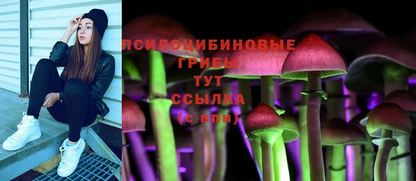 индика Нефтекумск