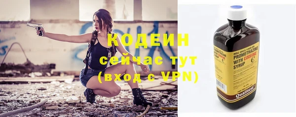 индика Нефтекумск