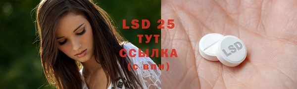 индика Нефтекумск