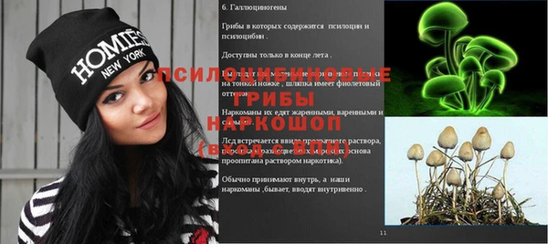 ECSTASY Михайловка